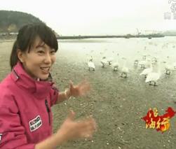 CCTV4《远方的家》系列节目走进山东荣成