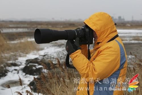 感受轻灵之美 腾龙150-600长焦镜头试用