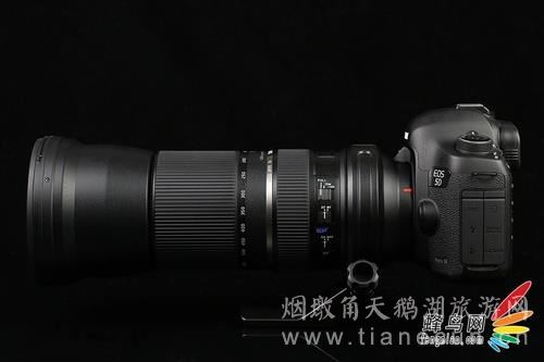 轻便拍鸟利器 腾龙150-600mm镜头试用