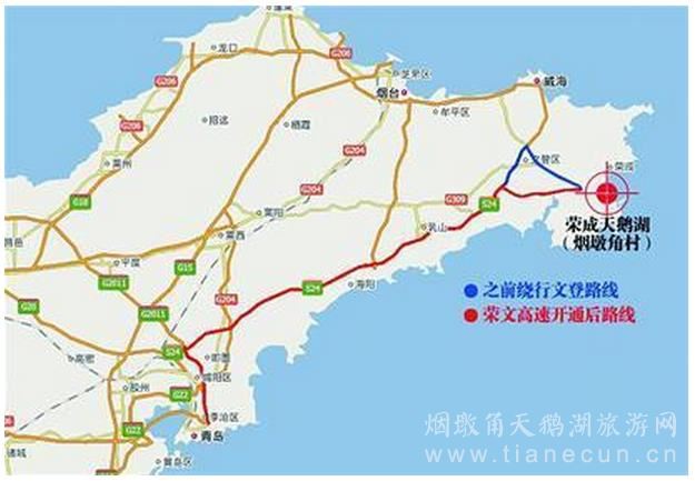 从青岛去荣成看天鹅 跑新高速少绕50公里