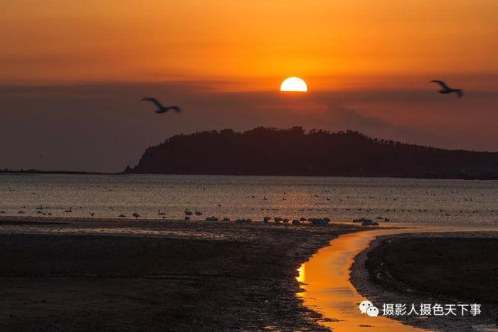 爱上拍天鹅,上苍把大海和天鹅都赋予给了荣成