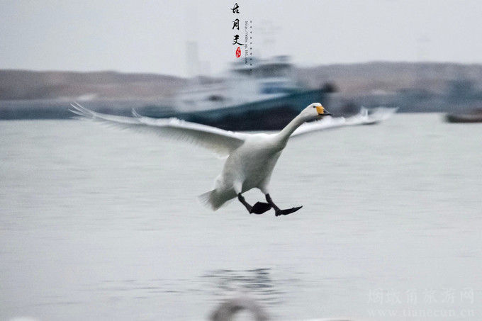 冬季荣成旅游最好玩的地方,冬日免费旅游的地方